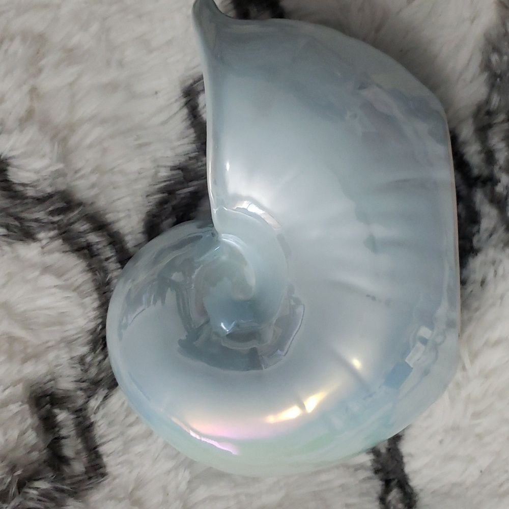 Rae Dunn Shell - Picture 4 of 8